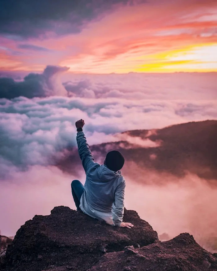 A person with a raised fist on a rocky peak above pink clouds at sunset