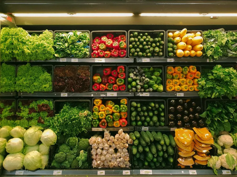 A grocery store shelf display of fresh lettuce, peppers, cucumbers, cabbage and broccoli