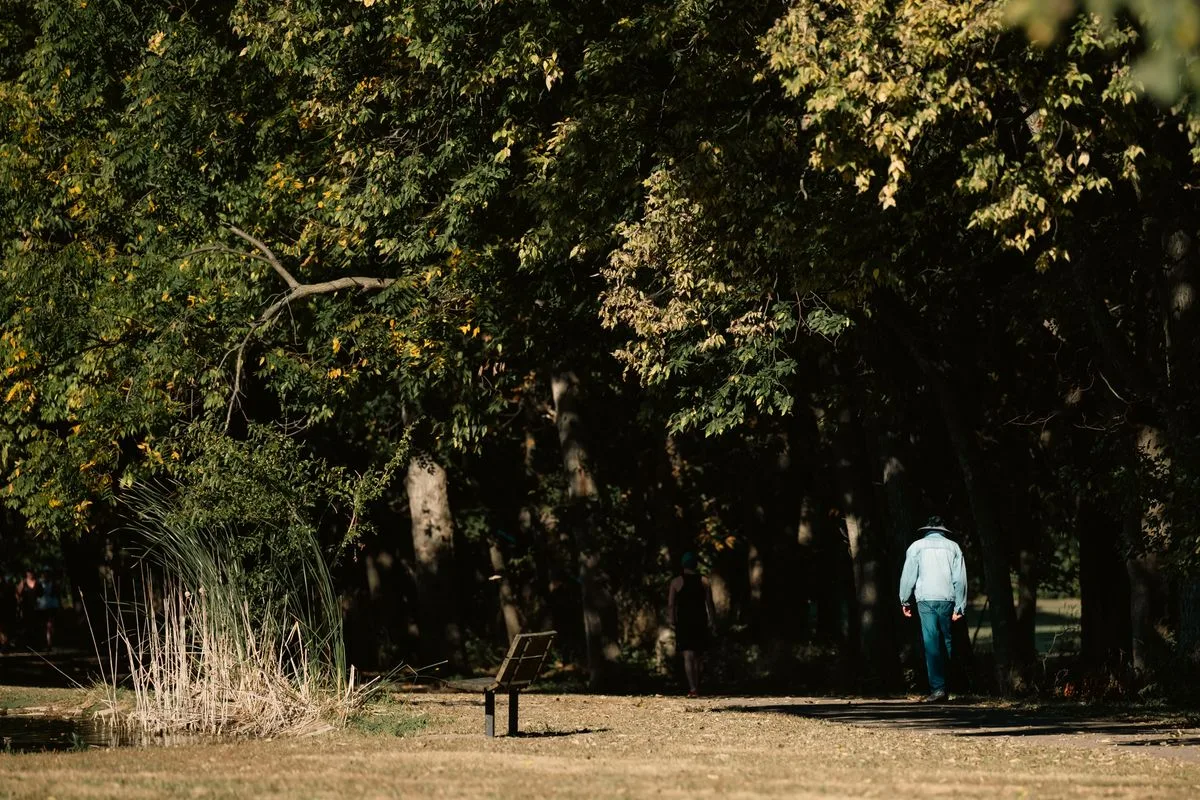 A person walking alone along a shaded path through a park