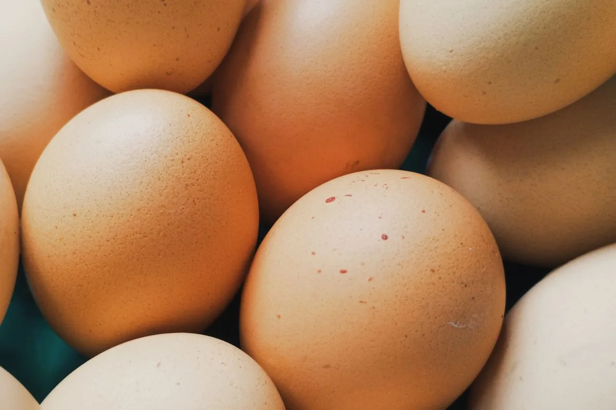 A close view of a carton of fresh brown eggs