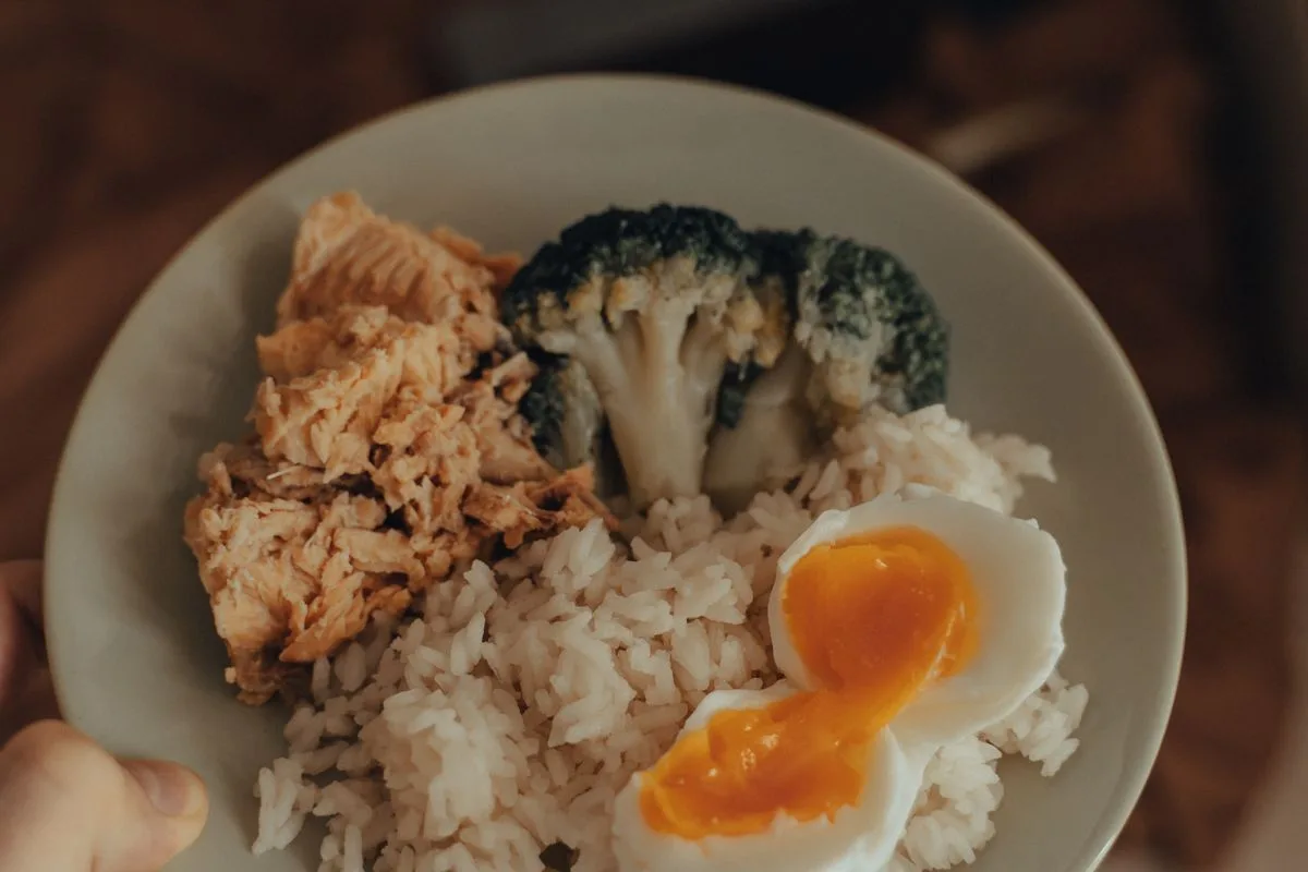 A plate of salmon, broccoli, rice and boiled egg held in two hands