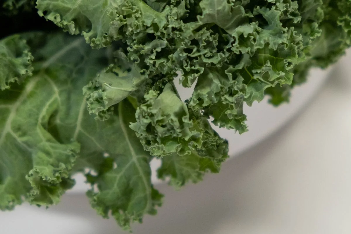 A close-up of fresh, curly kale leaves